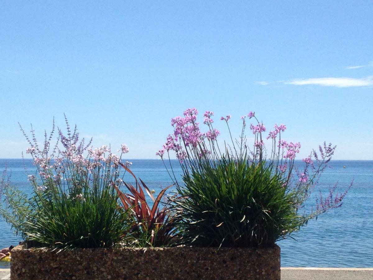 Les Caroubiers Daire Roquebrune-Cap-Martin Dış mekan fotoğraf